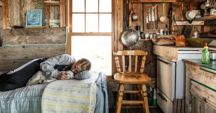 Shearing Sheep, and Hewing to Tradition, on an Island in Maine