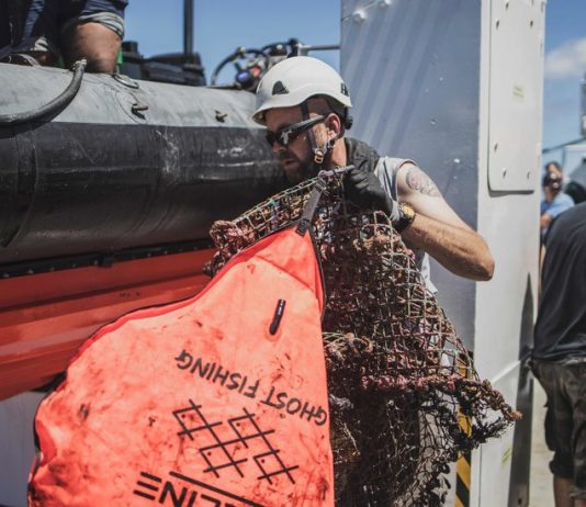 The Plastic Straw Straw Man The Plastic Straw Straw Man