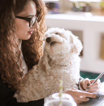 How to become a freelance writer How to become a freelance writer
