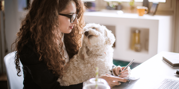 How to become a freelance writer