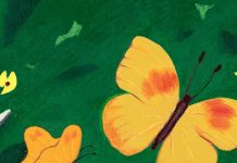 17 Learning Tools For Your Next Outdoor Excursion 17 Learning Tools For Your Next Outdoor Excursion