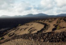 Roaming Through Lanzarote’s Otherworldly Vineyards Roaming Through Lanzarote’s Otherworldly Vineyards