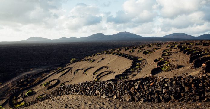 Roaming Through Lanzarote’s Otherworldly Vineyards