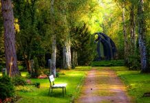 Career Path 2 Career Path 2