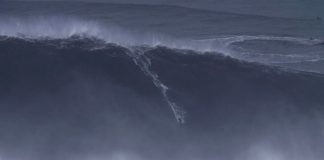 Wave Rider Wave Rider