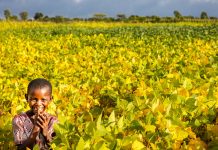 How Much Do You Know About Malawi? How Much Do You Know About Malawi?