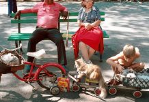 Images From Four More Years of ‘What’s Going On in This Picture?’ Images From Four More Years of ‘What’s Going On in This Picture?’