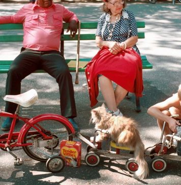 Images From Four More Years of ‘What’s Going On in This Picture?’ Images From Four More Years of ‘What’s Going On in This Picture?’