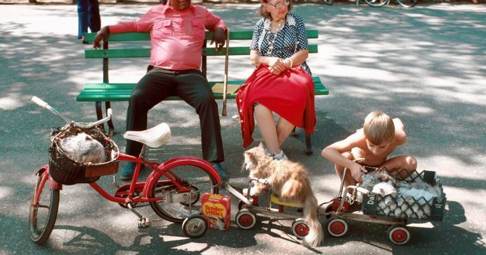 Images From Four More Years of ‘What’s Going On in This Picture?’