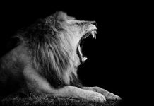 Why the hate with Learning Preferences? Why the hate with Learning Preferences?