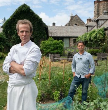 What Students Are Saying About Democracy, Caring For Plants and “Flights to Nowhere” What Students Are Saying About Democracy, Caring For Plants and “Flights to Nowhere”