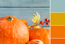 Color Love | Pumpkin Orange Color Love | Pumpkin Orange
