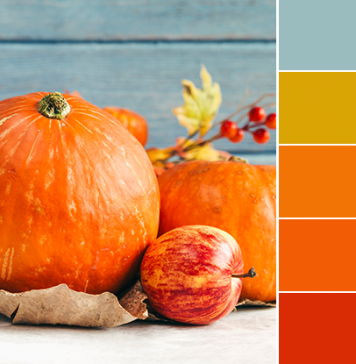Color Love | Pumpkin Orange Color Love | Pumpkin Orange