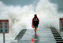 Weekly News Quiz for Students: Election Results, Peace Agreement, Boy Scouts Weekly News Quiz for Students: Election Results, Peace Agreement, Boy Scouts