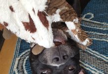 Three Takeaways Today Three Takeaways Today