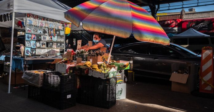 Lesson of the Day: ‘No Papers, No Jobs: The New Street Vendors of Queens’