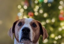 See you in 2021! See you in 2021!