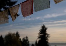 What Is Something Good That Happened in 2020? What Is Something Good That Happened in 2020?