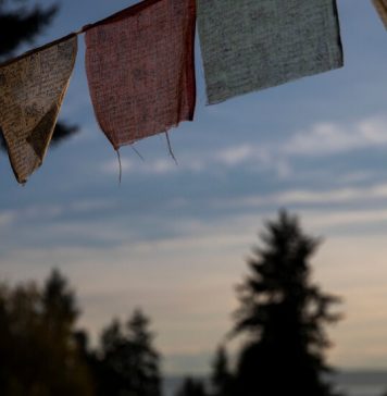 What Is Something Good That Happened in 2020? What Is Something Good That Happened in 2020?