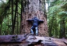 Our 2nd Annual STEM Writing Contest Our 2nd Annual STEM Writing Contest