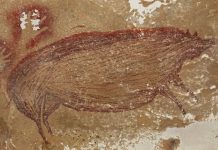 Lesson of the Day: ‘Pig Painting May Be World’s Oldest Cave Art Yet, Archaeologists Say’ Lesson of the Day: ‘Pig Painting May Be World’s Oldest Cave Art Yet, Archaeologists Say’