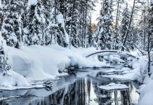Winterscapes Winterscapes
