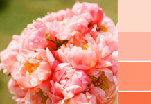 Color Love | Peach and Aqua Color Love | Peach and Aqua