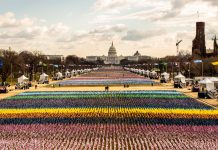 Weekly News Quiz for Students: Inauguration, SAT Changes, No. 1 Song Weekly News Quiz for Students: Inauguration, SAT Changes, No. 1 Song