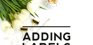 Adding Labels to Blog Posts – Blogger Basics You Need To Know Adding Labels to Blog Posts – Blogger Basics You Need To Know