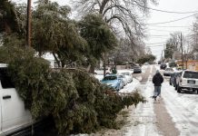 Weekly News Quiz for Students: Winter Storms, Mars Rover, Tennis Champion Weekly News Quiz for Students: Winter Storms, Mars Rover, Tennis Champion