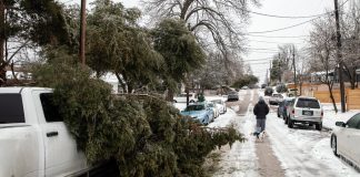 Weekly News Quiz for Students: Winter Storms, Mars Rover, Tennis Champion Weekly News Quiz for Students: Winter Storms, Mars Rover, Tennis Champion