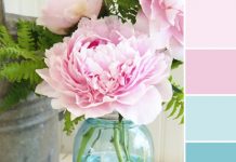 Color Love | Light Pinks & Blues Color Love | Light Pinks & Blues