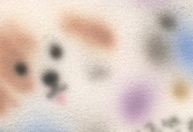 Pandemic Pets Pandemic Pets