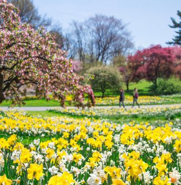 How Do You Celebrate Spring? How Do You Celebrate Spring?