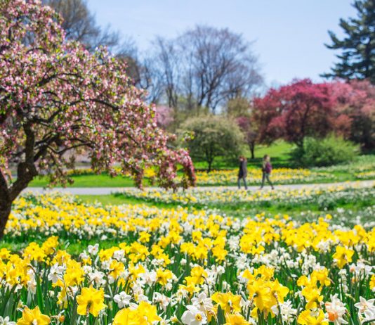 How Do You Celebrate Spring? How Do You Celebrate Spring?