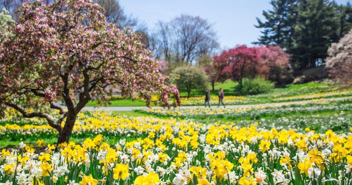 How Do You Celebrate Spring?