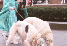 What’s Going On in This Picture? | March 29, 2021 What’s Going On in This Picture? | March 29, 2021