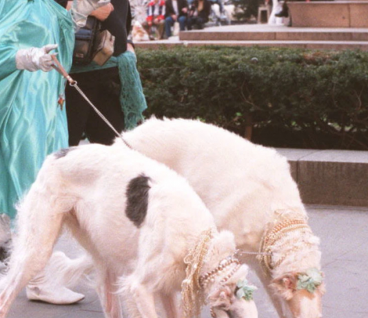 What’s Going On in This Picture? | March 29, 2021 What’s Going On in This Picture? | March 29, 2021