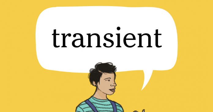 Word of the Day: transient