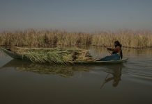 Drought and Abundance in the Mesopotamian Marshes Drought and Abundance in the Mesopotamian Marshes