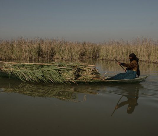 Drought and Abundance in the Mesopotamian Marshes Drought and Abundance in the Mesopotamian Marshes