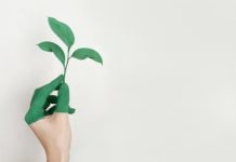 5 Ways Alison Helps Empower You to Develop Yourself 5 Ways Alison Helps Empower You to Develop Yourself