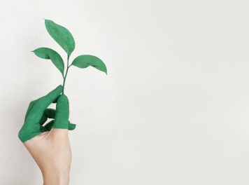 5 Ways Alison Helps Empower You to Develop Yourself 5 Ways Alison Helps Empower You to Develop Yourself