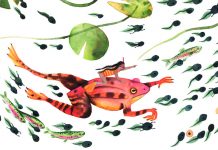 What Are the Most Memorable Things You’ve Seen or Experienced in Nature? What Are the Most Memorable Things You’ve Seen or Experienced in Nature?