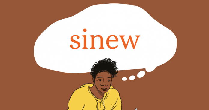 Word of the Day: sinew