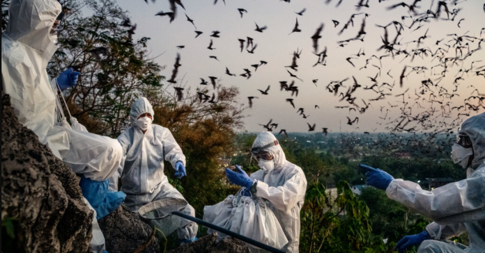 What’s Going On in This Picture? | April 26, 2021