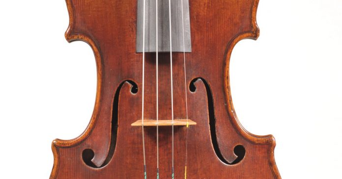 Mycowood Violins: A Different Kind of Time Machine