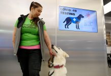 Unleash the Tests: The Four-Legged Future of Covid-19 Testing Unleash the Tests: The Four-Legged Future of Covid-19 Testing
