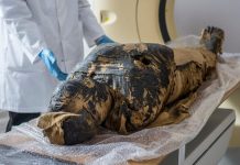 Lesson of the Day: ‘In a First, Researchers Discover a Pregnant Egyptian Mummy’ Lesson of the Day: ‘In a First, Researchers Discover a Pregnant Egyptian Mummy’