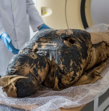 Lesson of the Day: ‘In a First, Researchers Discover a Pregnant Egyptian Mummy’ Lesson of the Day: ‘In a First, Researchers Discover a Pregnant Egyptian Mummy’